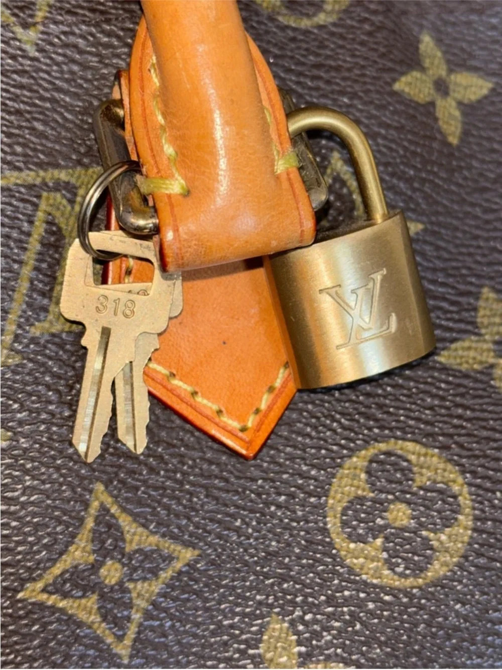 Louis Vuitton Monogram Canvas Satchel with Pink-Accented Handle Scarf